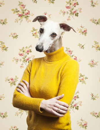 擬人化犬の肖像画。油絵　バラ　garry。grayhound の頭を持つ女性の体の写真素材